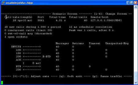 SIPP�yԇ���߽���ʾ��