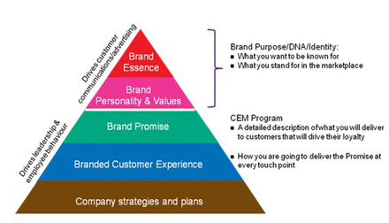 ��λ��������׌�͑�(h��)�w�(y��n)�ɞ���I(y��)DNA��һ����